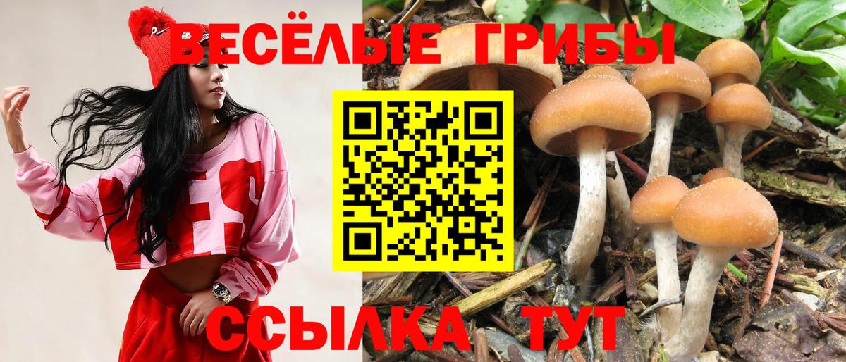 Галлюциногенные грибы мицелий Ярославль